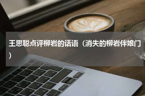 王思聪点评柳岩的话语（消失的柳岩伴娘门）