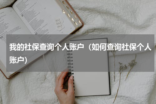 我的社保查询个人账户（如何查询社保个人账户）