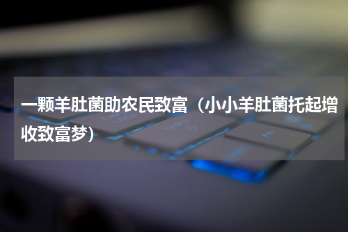 一颗羊肚菌助农民致富（小小羊肚菌托起增收致富梦）