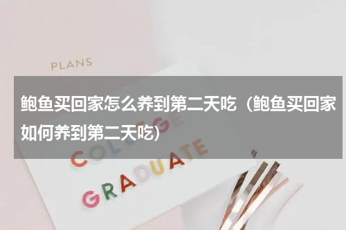 鲍鱼买回家怎么养到第二天吃（鲍鱼买回家如何养到第二天吃）