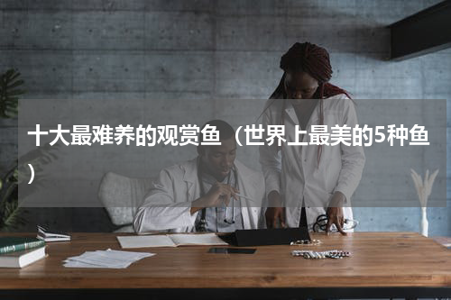十大最难养的观赏鱼（世界上最美的5种鱼）