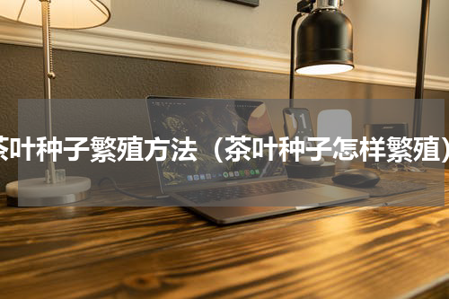 茶叶种子繁殖方法（茶叶种子怎样繁殖）