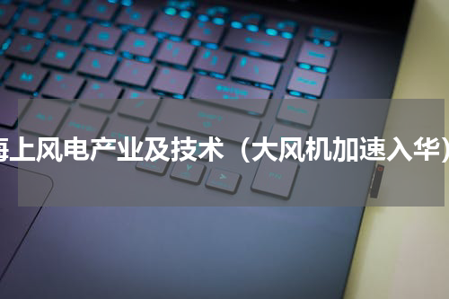 海上风电产业及技术（大风机加速入华）