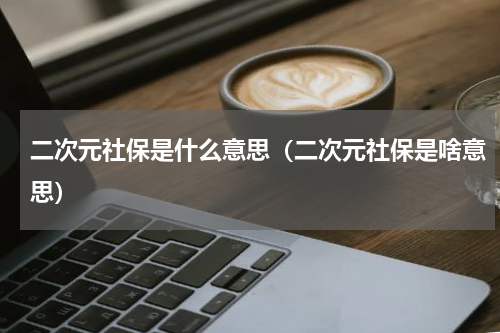 二次元社保是什么意思（二次元社保是啥意思）