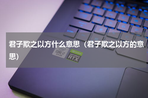 君子欺之以方什么意思（君子欺之以方的意思）
