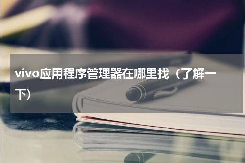 vivo应用程序管理器在哪里找（了解一下）