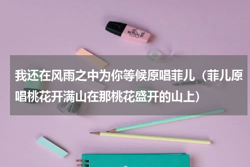 我还在风雨之中为你等候原唱菲儿（菲儿原唱桃花开满山在那桃花盛开的山上）