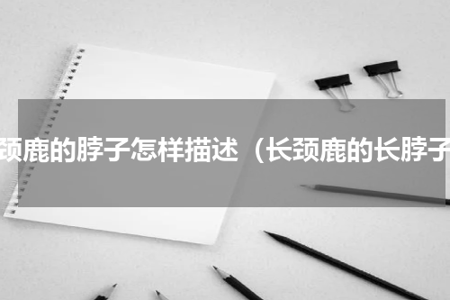 长颈鹿的脖子怎样描述（长颈鹿的长脖子）