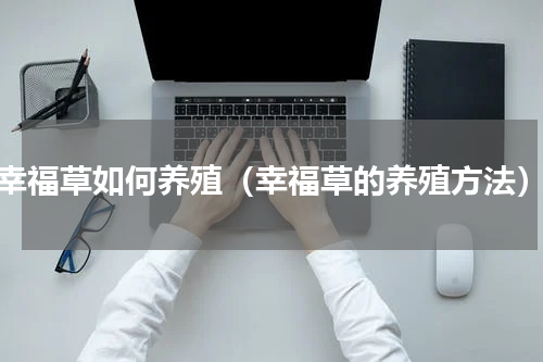 幸福草如何养殖（幸福草的养殖方法）