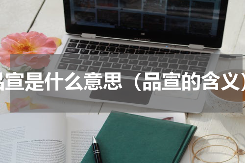 品宣是什么意思（品宣的含义）