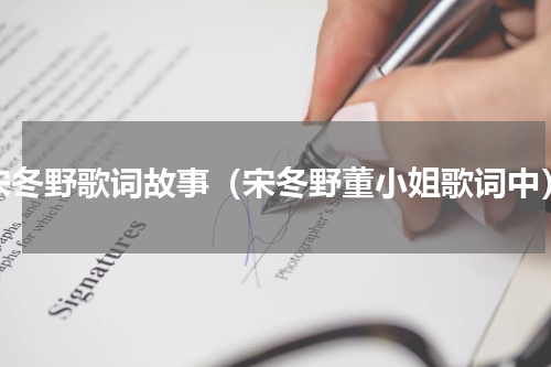 宋冬野歌词故事（宋冬野董小姐歌词中）