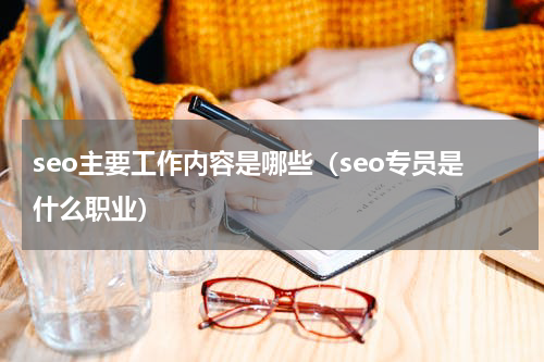 seo主要工作内容是哪些（seo专员是什么职业）