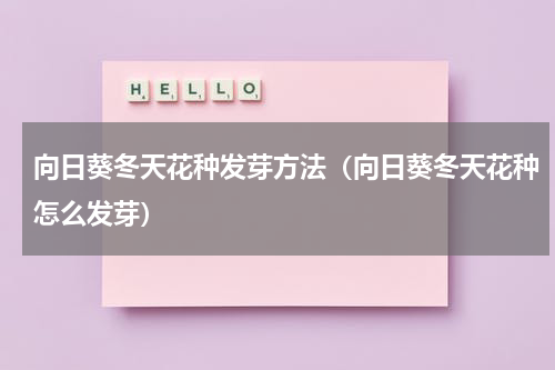 向日葵冬天花种发芽方法（向日葵冬天花种怎么发芽）