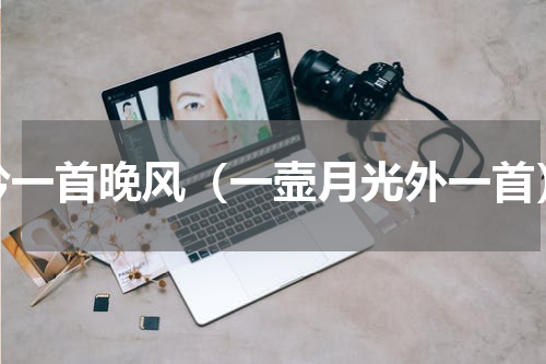 吟一首晚风（一壸月光外一首）