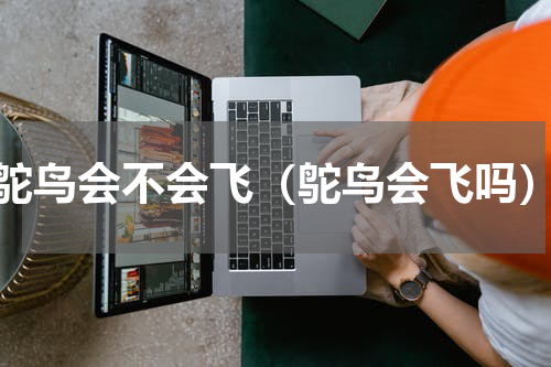 鸵鸟会不会飞（鸵鸟会飞吗）