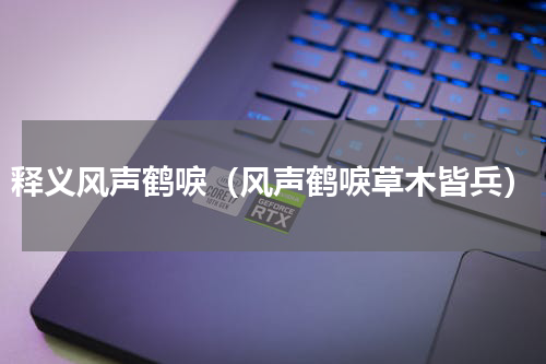 释义风声鹤唳（风声鹤唳草木皆兵）