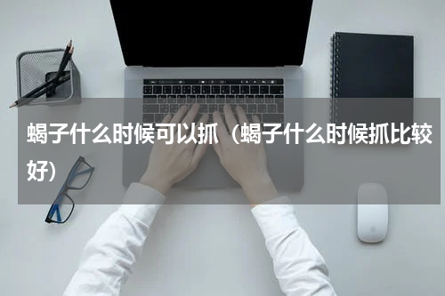 蝎子什么时候可以抓（蝎子什么时候抓比较好）