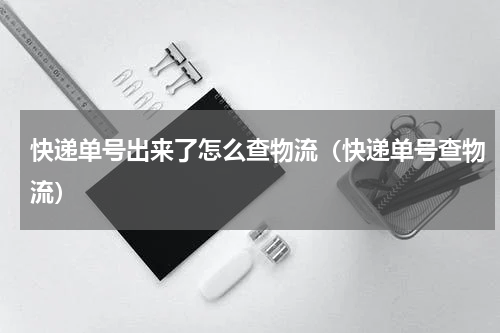 快递单号出来了怎么查物流（快递单号查物流）