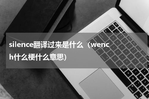 silence翻译过来是什么（wench什么梗什么意思）