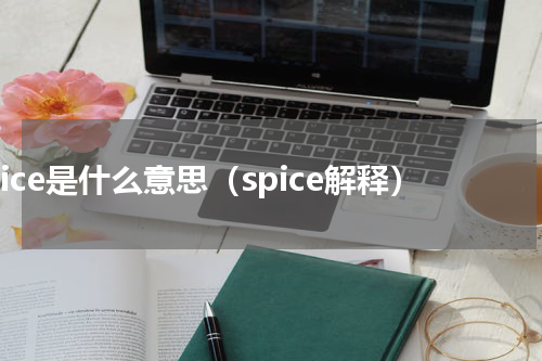 spice是什么意思（spice解释）