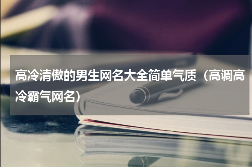 高冷清傲的男生网名大全简单气质（高调高冷霸气网名）