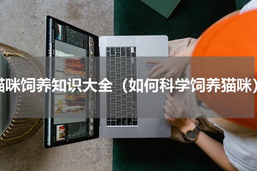 猫咪饲养知识大全（如何科学饲养猫咪）
