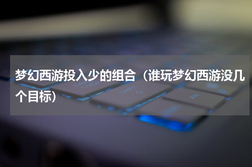 梦幻西游投入少的组合（谁玩梦幻西游没几个目标）