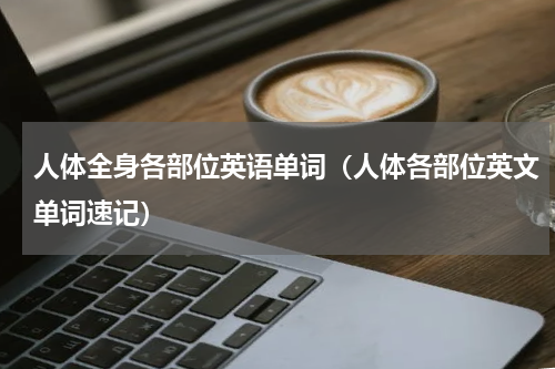 人体全身各部位英语单词（人体各部位英文单词速记）