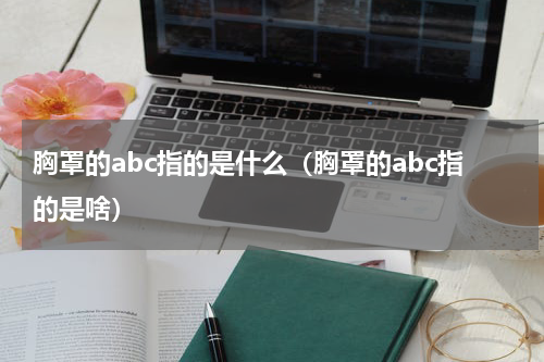 胸罩的abc指的是什么（胸罩的abc指的是啥）
