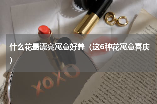 什么花最漂亮寓意好养（这6种花寓意喜庆）