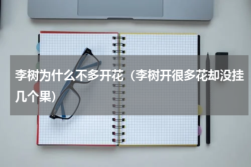 李树为什么不多开花（李树开很多花却没挂几个果）