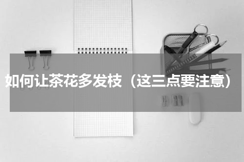 如何让茶花多发枝（这三点要注意）