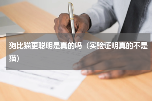 狗比猫更聪明是真的吗（实验证明真的不是猫）