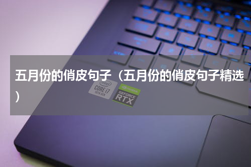 五月份的俏皮句子（五月份的俏皮句子精选）