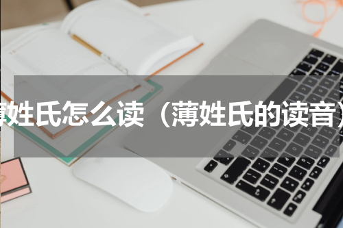 薄姓氏怎么读（薄姓氏的读音）