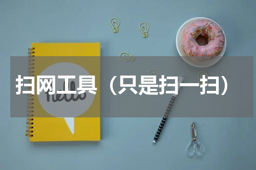 扫网工具（只是扫一扫）