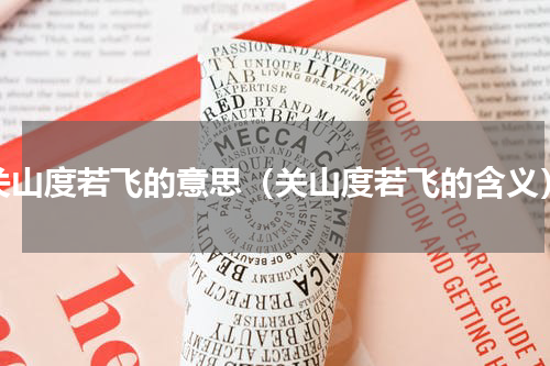 关山度若飞的意思（关山度若飞的含义）