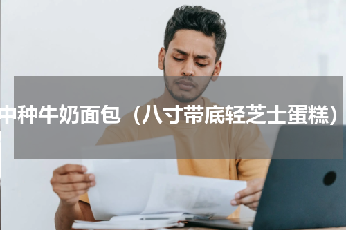 中种牛奶面包（八寸带底轻芝士蛋糕）