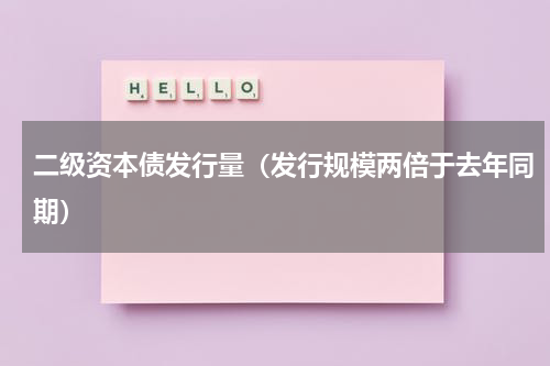 二级资本债发行量（发行规模两倍于去年同期）