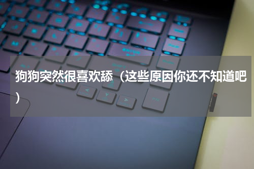 狗狗突然很喜欢舔（这些原因你还不知道吧）