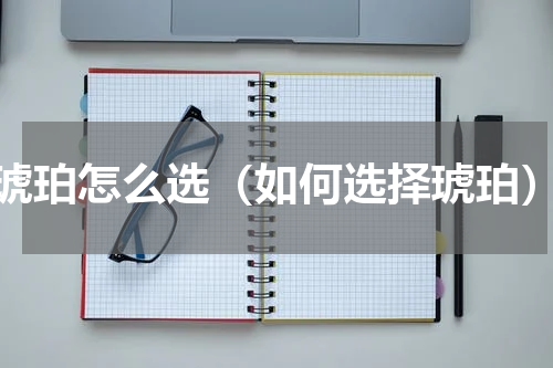 琥珀怎么选（如何选择琥珀）