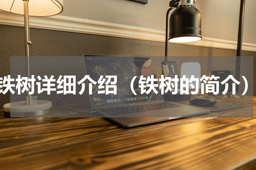 铁树详细介绍（铁树的简介）