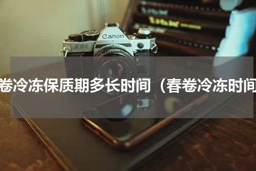 春卷冷冻保质期多长时间（春卷冷冻时间）