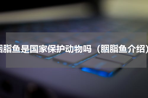 胭脂鱼是国家保护动物吗（胭脂鱼介绍）