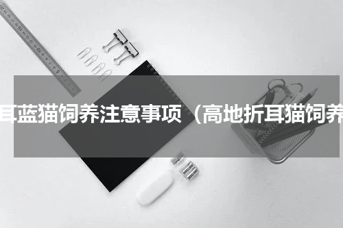 折耳蓝猫饲养注意事项（高地折耳猫饲养）