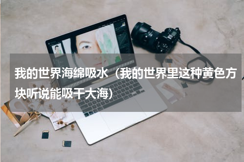 我的世界海绵吸水（我的世界里这种黄色方块听说能吸干大海）