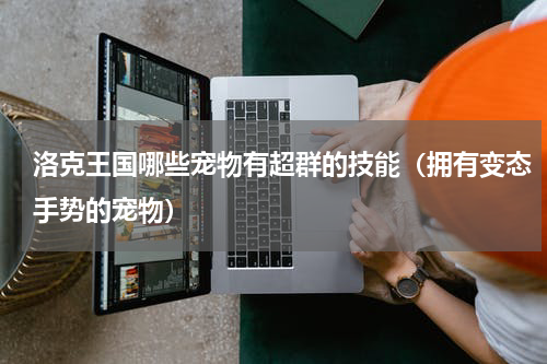 洛克王国哪些宠物有超群的技能（拥有变态手势的宠物）