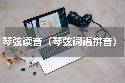 琴弦读音（琴弦词语拼音）