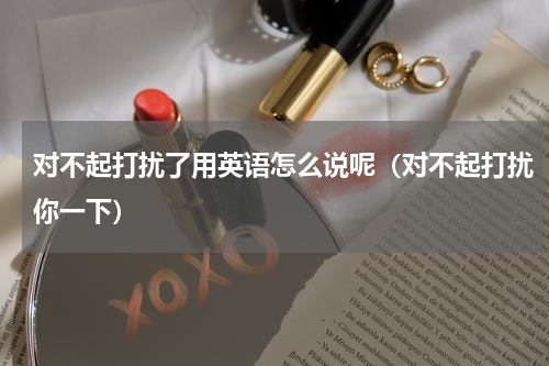 对不起打扰了用英语怎么说呢（对不起打扰你一下）