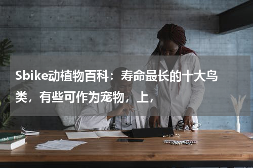 Sbike动植物百科：寿命最长的十大鸟类，有些可作为宠物，上，